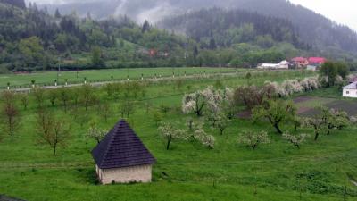 Mănăstirea Suceviţa